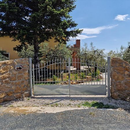 Il Panorama Daire Montescudaio Dış mekan fotoğraf